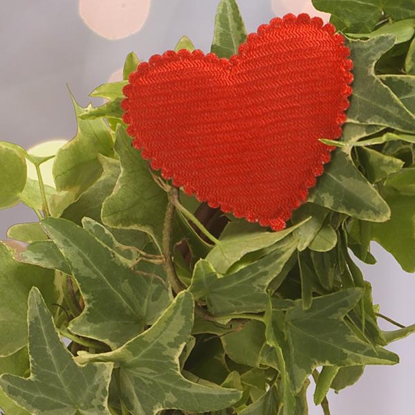 Heart Felt Christmas