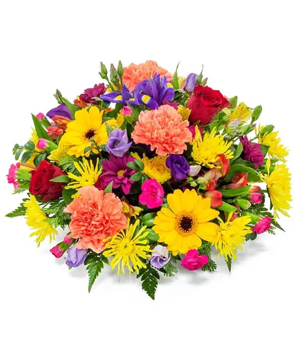 Bright & Vibrant Posy