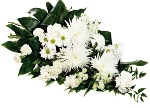 seasonal Sheaf